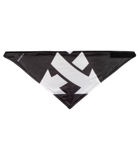 Bandana Icon